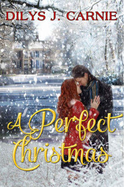 A Perfect Christmas by Dilys J. Carnie