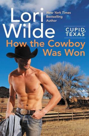 How the Cowboy Was Won by Lori Wilde