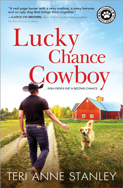 Lucky Chance Cowboy by Teri Anne Stanley