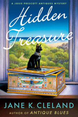 Hidden Treasure by Jane K. Cleland